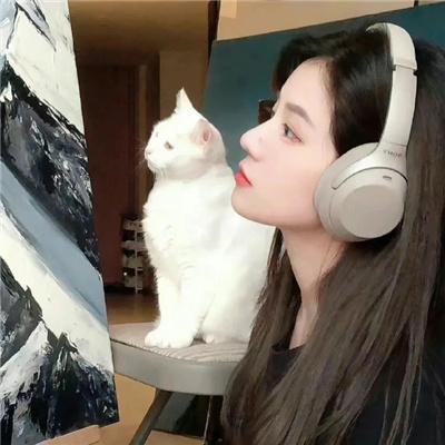 马夫牢笼